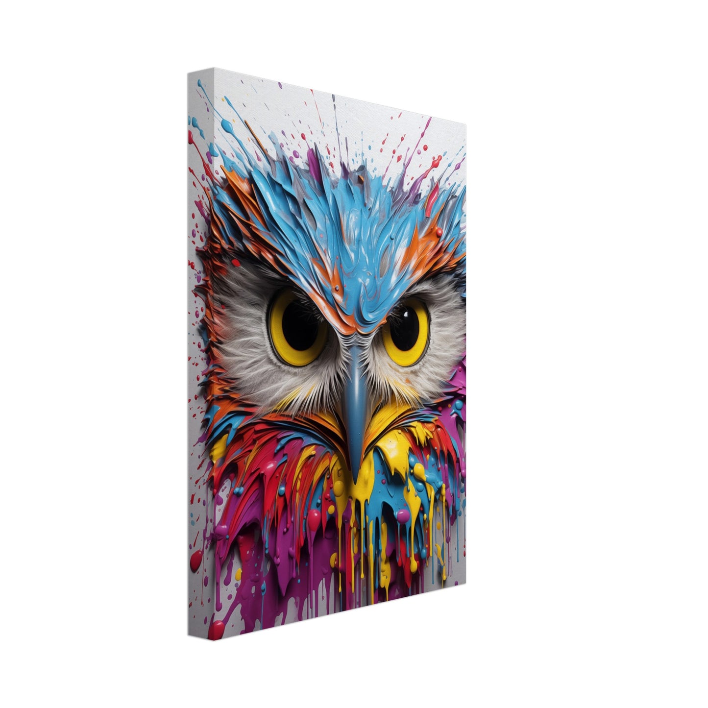 Owl Splash Art Canvas